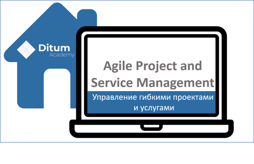 Agile Project and Service management
