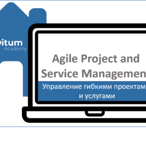 Agile Project and Service management